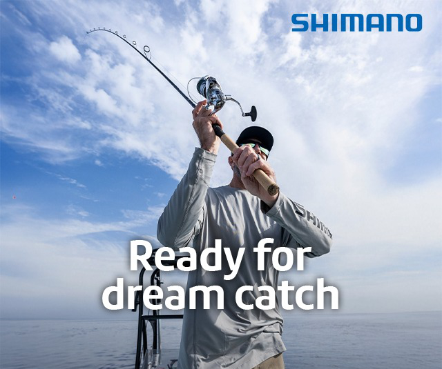 Shimano Banner